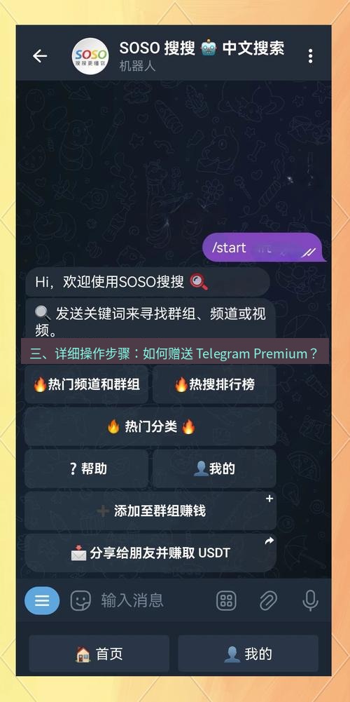 Telegram电脑版 三、详细操作步骤：如何赠送 Telegram Premium？