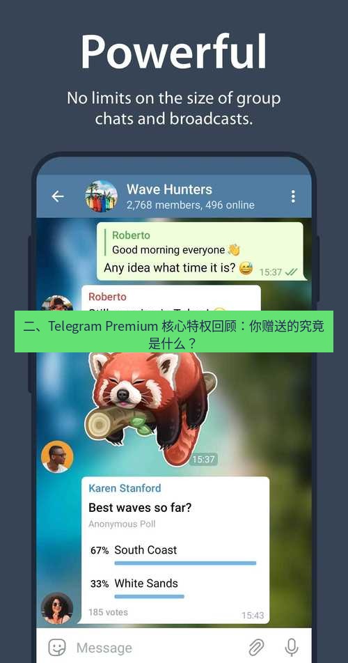 Telegram电脑版 二、Telegram Premium 核心特权回顾：你赠送的究竟是什么？