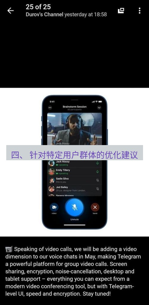 Telegram电脑版 四、 针对特定用户群体的优化建议