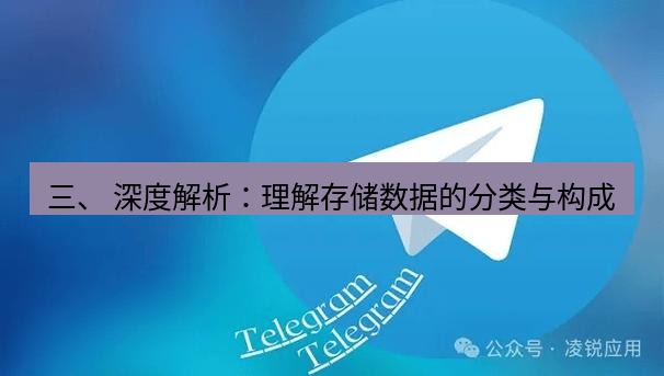 Telegram电脑版 三、 深度解析：理解存储数据的分类与构成