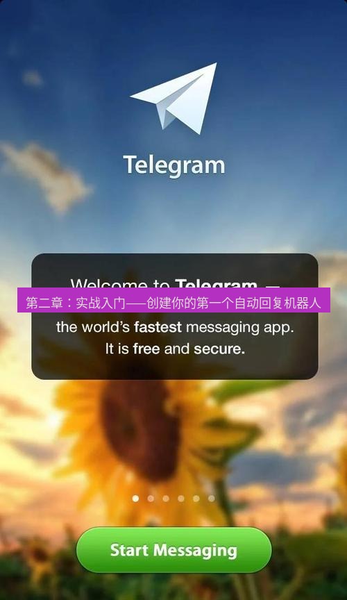 Telegram电脑版 第二章：实战入门——创建你的第一个自动回复机器人