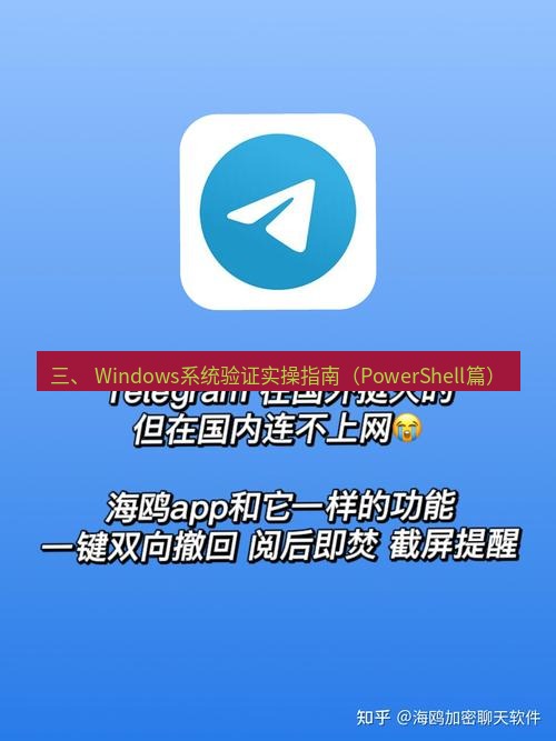 Telegram电脑版 三、 Windows系统验证实操指南（PowerShell篇）