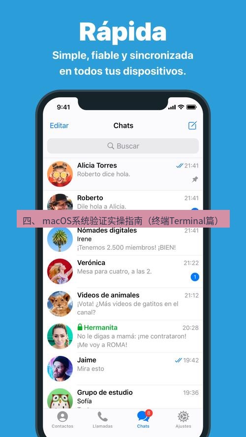 Telegram电脑版 四、 macOS系统验证实操指南（终端Terminal篇）